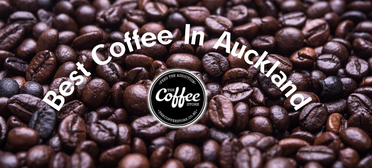 Best Coffee In Auckland The Coffee Store